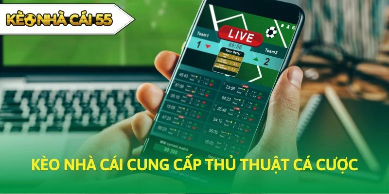 Kèo Nhà Cái cung cấp thủ thuật cá cược