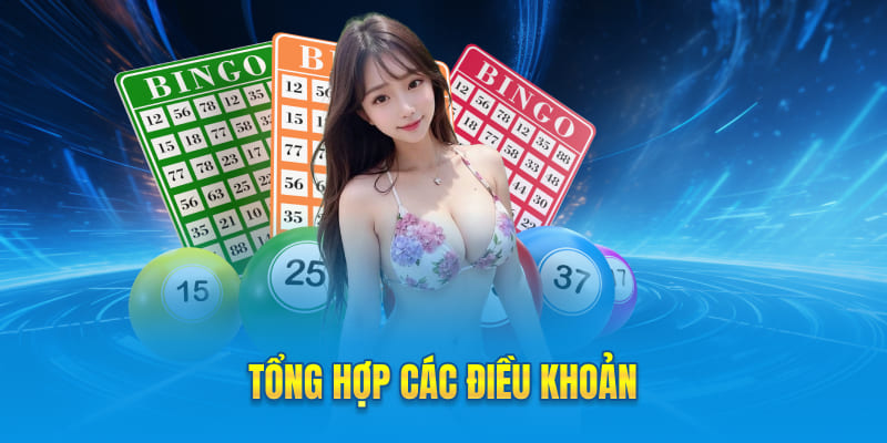 Tổng hợp các điều khoản